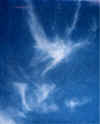 Angels in sky